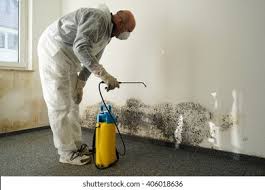 Why You Should Choose Our Mold Remediation Services in Foothill Farms, CA